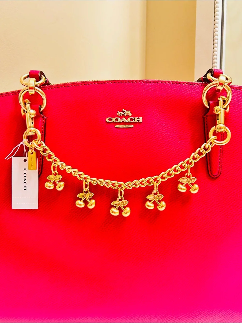 Coach Cherries Swag Bag Charm